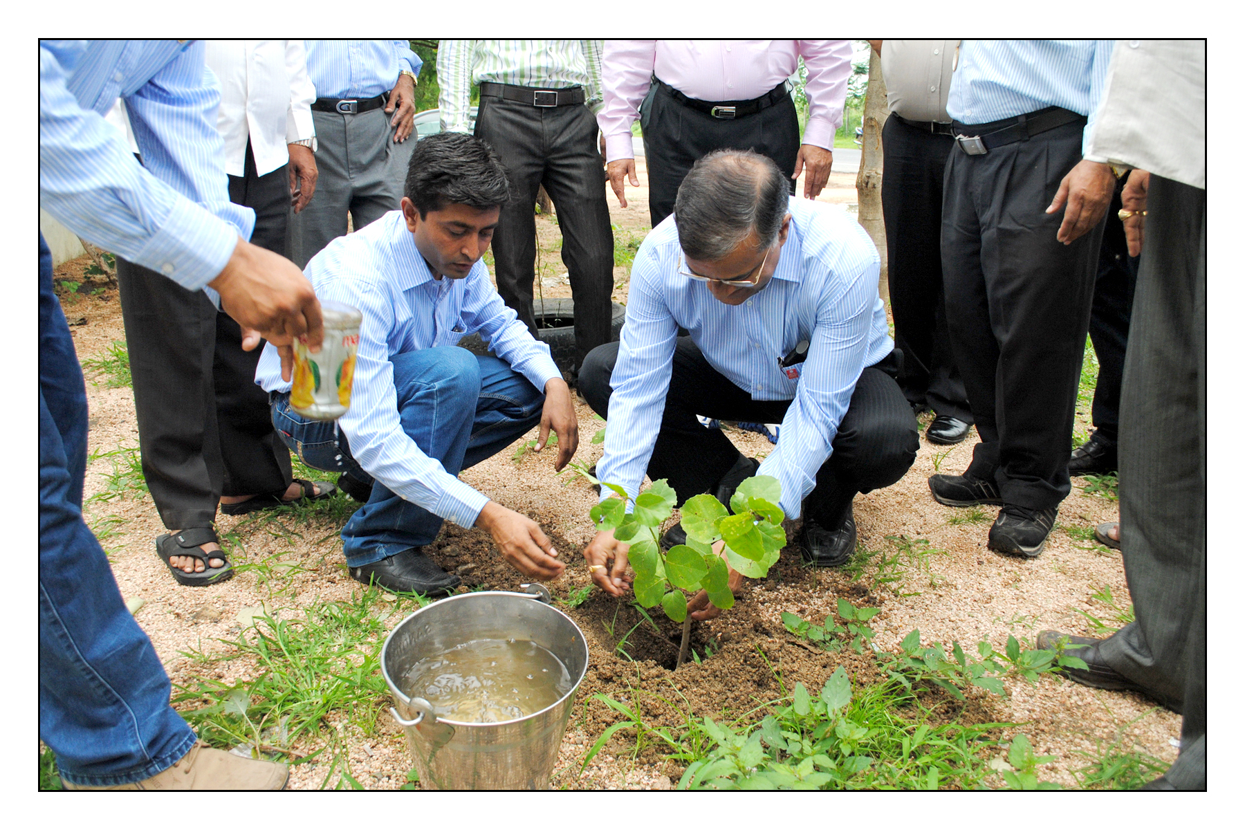 Rotary Tree Plantation Initiative
“One Tree Today — A Greener Tomorrow”