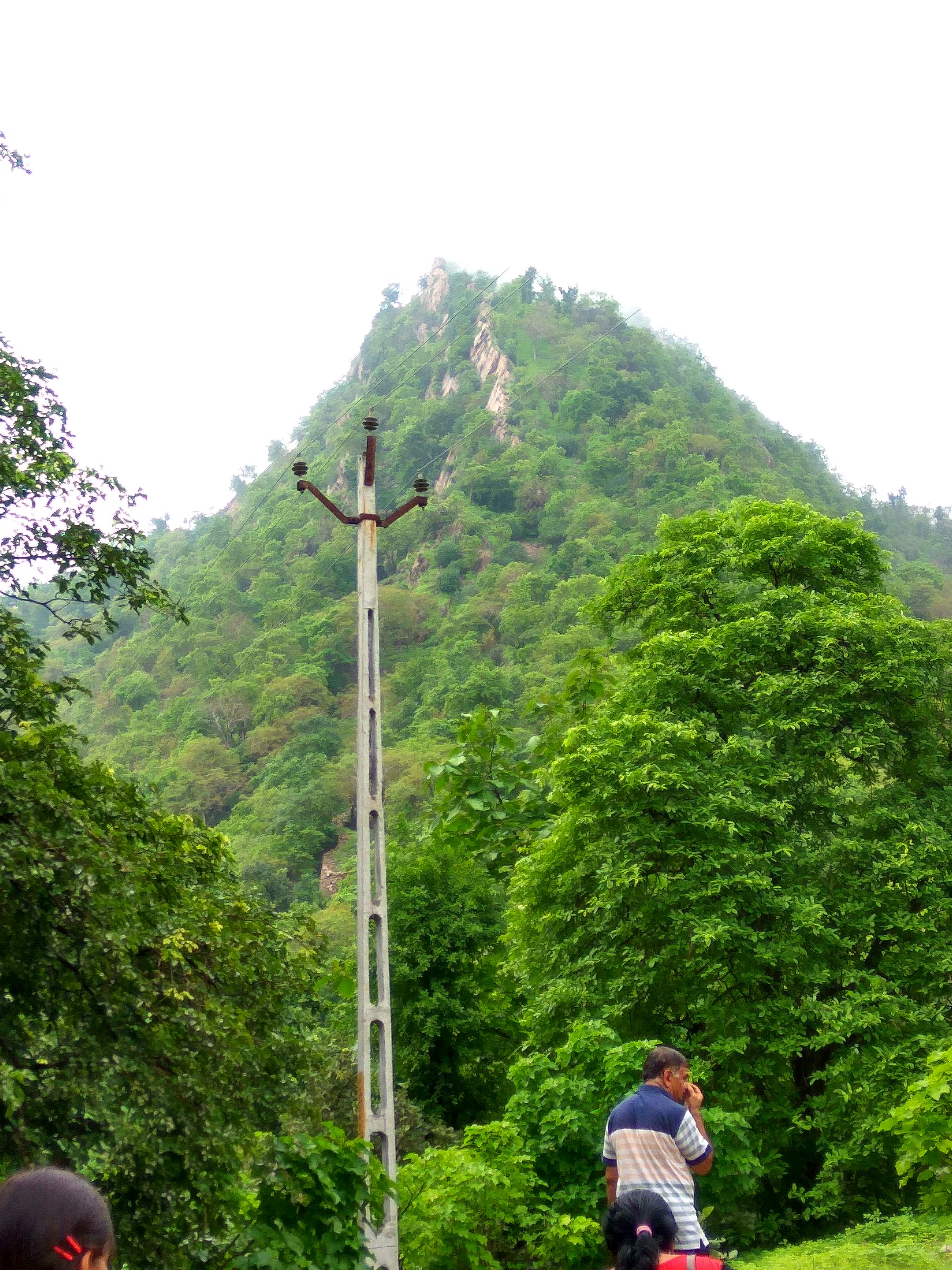 A Rotary Family Get-together Programme was organized at Polo Forest, offering members and families an enjoyable day of fellowship and bonding.