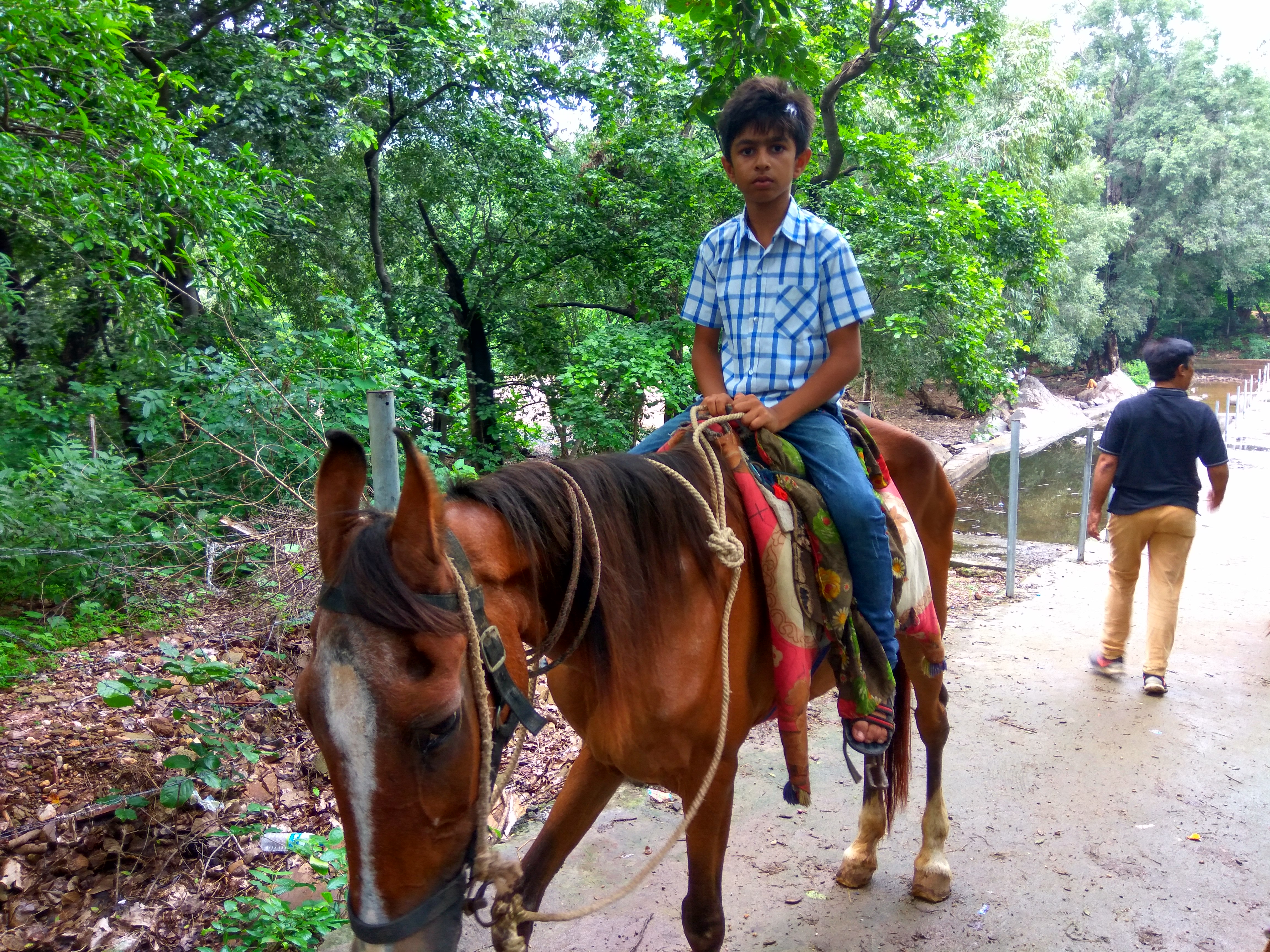 A Rotary Family Get-together Programme was organized at Polo Forest, offering members and families an enjoyable day of fellowship and bonding.